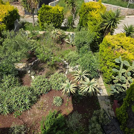 Sevinc Akasya House Apartament Milas