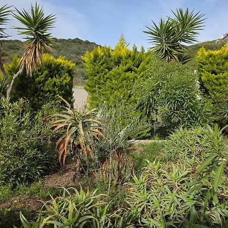 Sevinc Akasya House * Milas