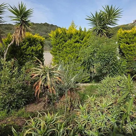 Sevinc Akasya House Apartament