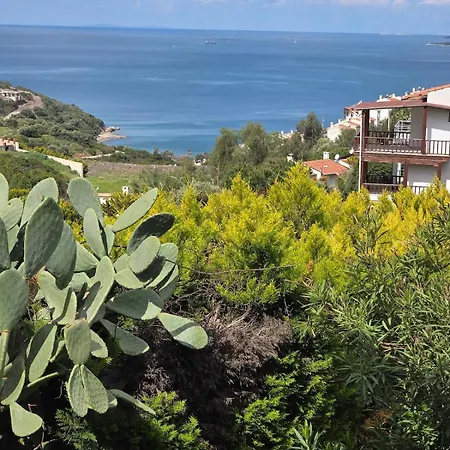 Sevinc Akasya House Apartment
