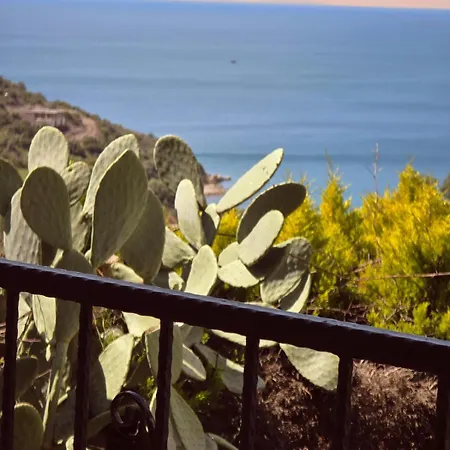 Sevinc Akasya House Apartment Milas