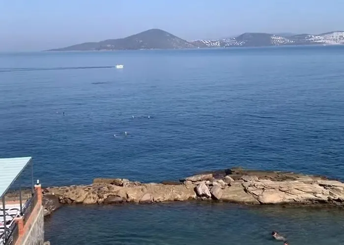 Daire Sevinc Akasya House *