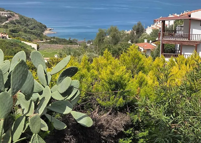 Sevinc Akasya House Daire