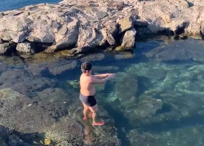 Daire Sevinc Akasya House