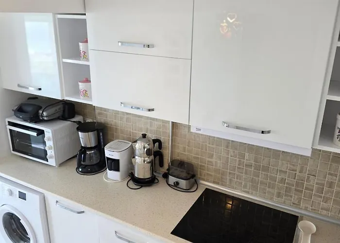 Sevinc Akasya House Daire *